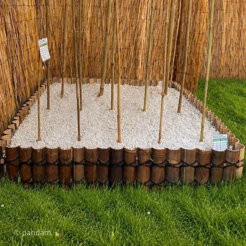 Bordura bambu