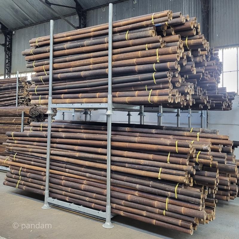 Caña de bambú negro