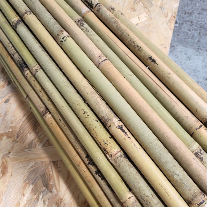 Cañizo de bambú de gran diámetro