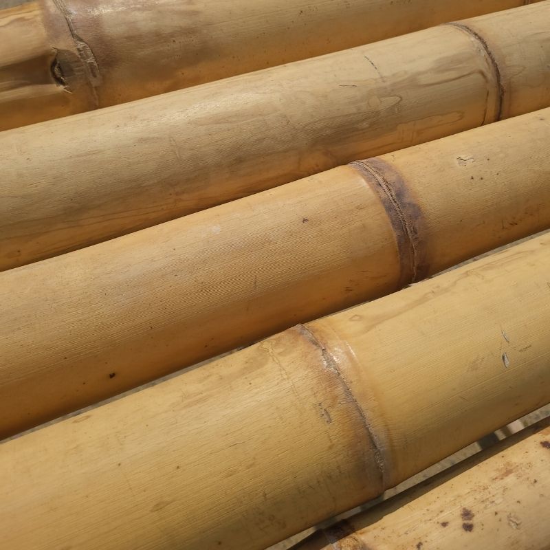 Construcción en bambú