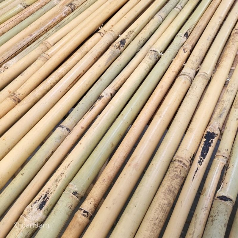 Pantalla de privacidad de bambu