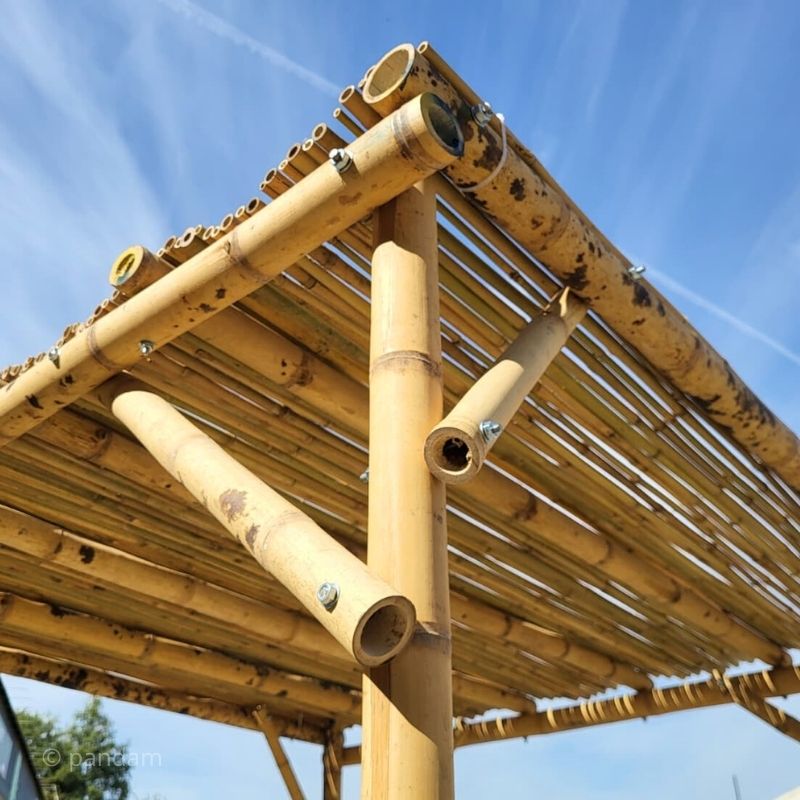 Pérgola de bambú en kit - Bambú de construcción diámetro 5-8 cm
