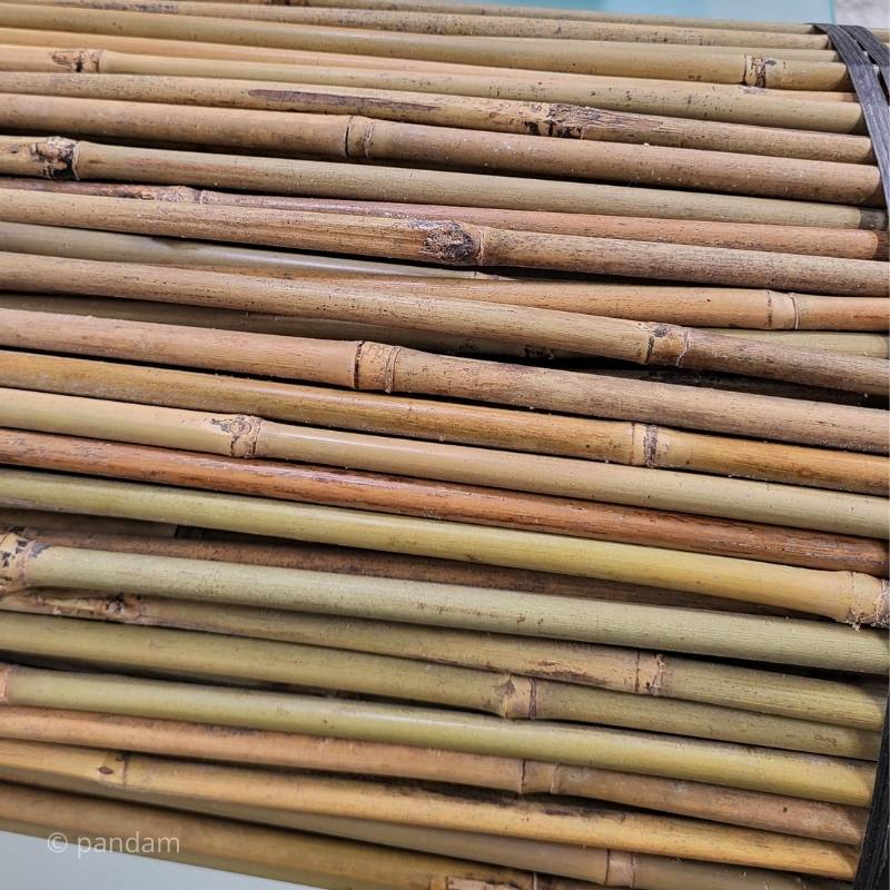 Tutores de bambú 150 cm para jardín