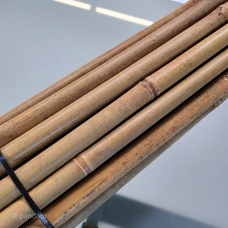 Tutores de bambú 2m para plantas y arboles
