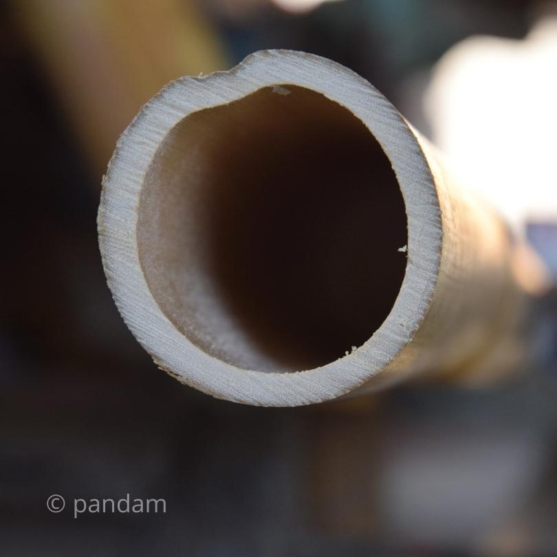 cana de bambu cortada