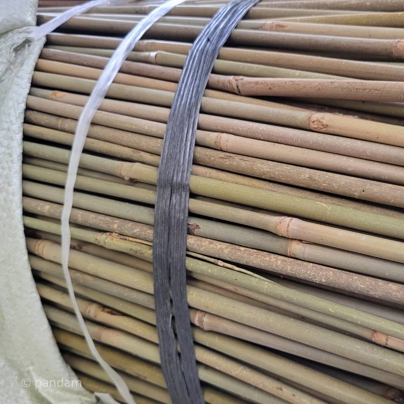 tutores bambu flores