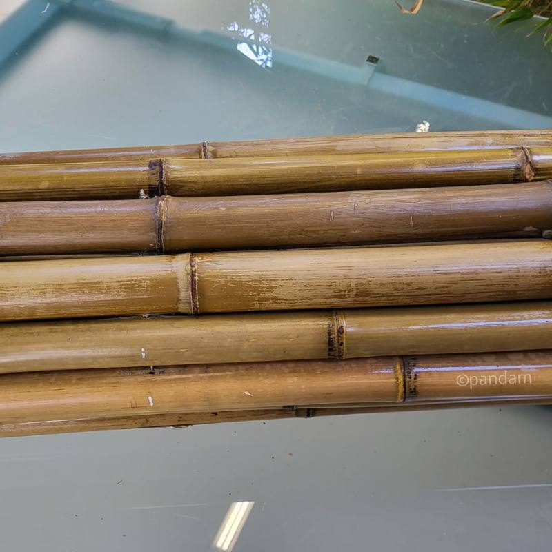 valla bambú jardín 3m