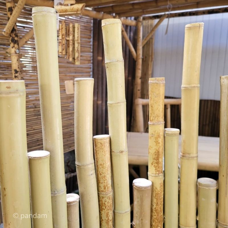 valla de bambu japonesa