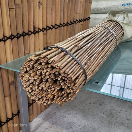 Tutores de bambú de 60 cm a 400 cm