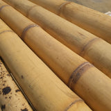 Bambú Guadua para construcción