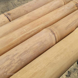 Cañas claras bambú