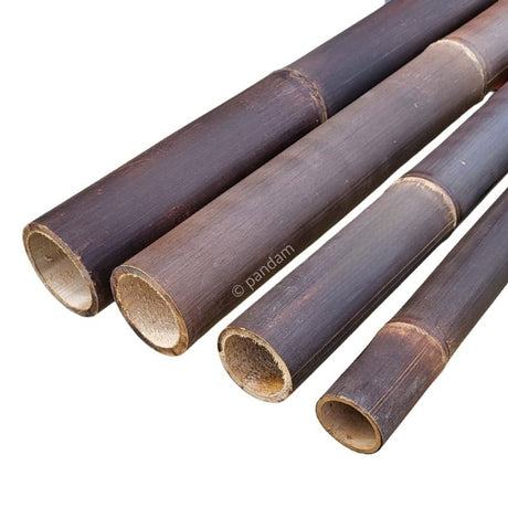 Cañas de bambú negras para celosías