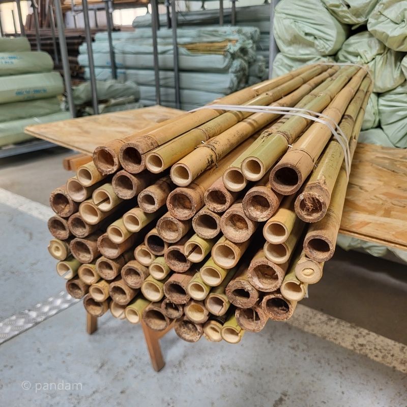 Cañizo de bambú de gran diámetro