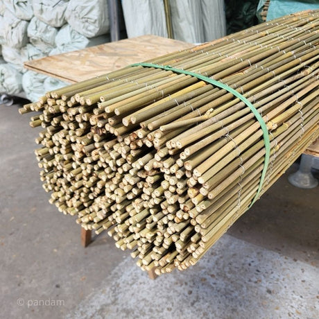 Cañizo_de_bambú_entero