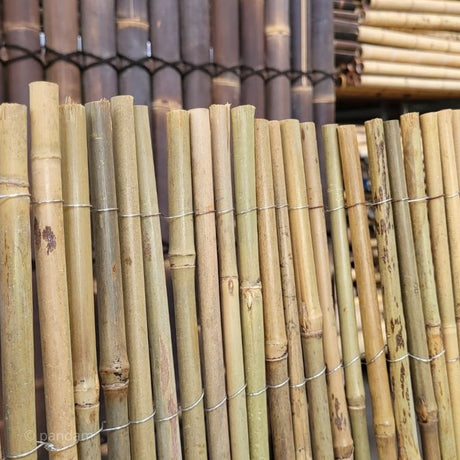 Cañizo de bambú de calidad