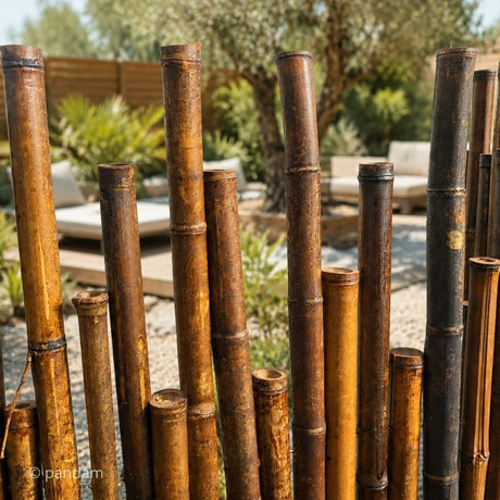 Cercado de bambu marron oscuro