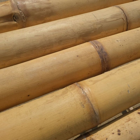 Construcción en bambú