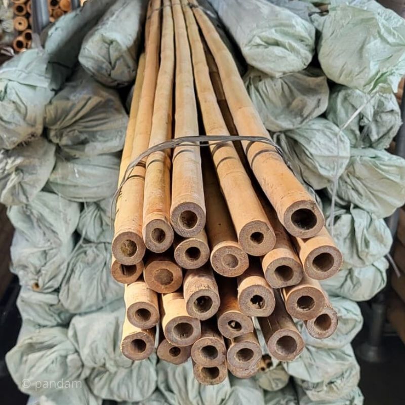 Gran tutor de bambú para arboles ecológico