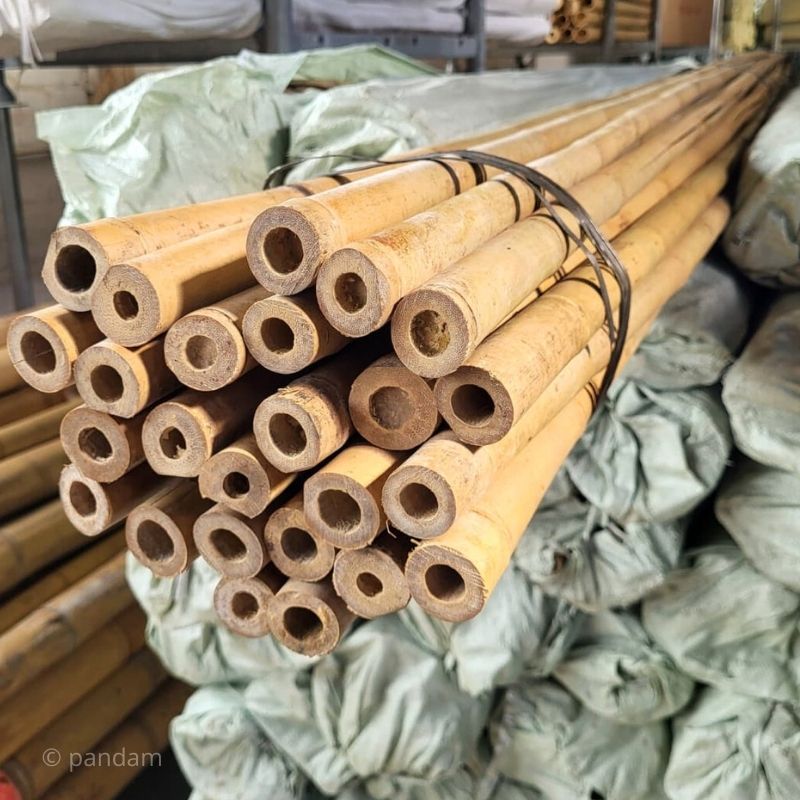 Gran tutor de bambú para plantas