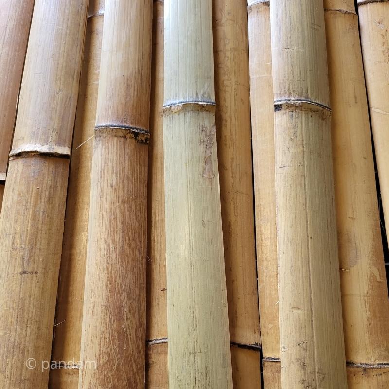 Listones de bambu
