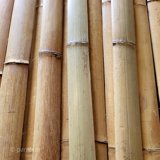 Listones de bambu