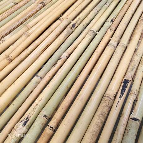 Pantalla de privacidad de bambu