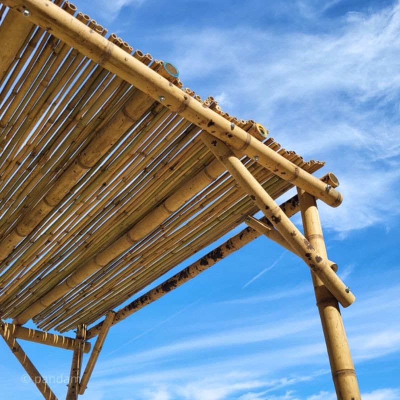 Pérgola de bambú en kit - Bambú de construcción diámetro 5-8 cm