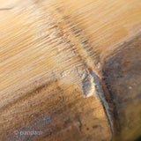 Plano recto | Plano para bambú