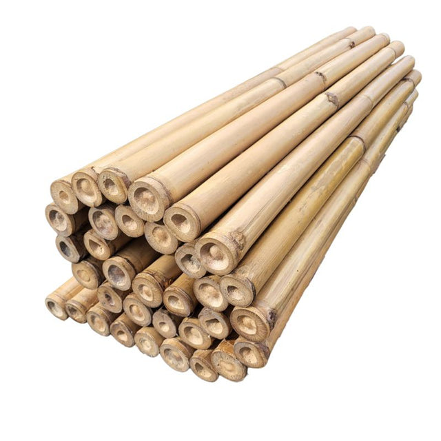 Rollo de valla de bambú claro diámetro 4-6 cm