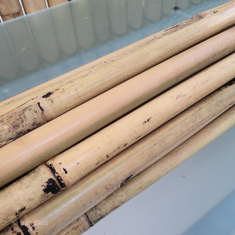 Tutor vegetal de bambú para arboles frutales