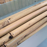 Tutor vegetal de bambú para arboles frutales