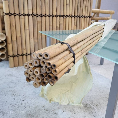 Tutor vegetal de bambú para arboles frutales 3m