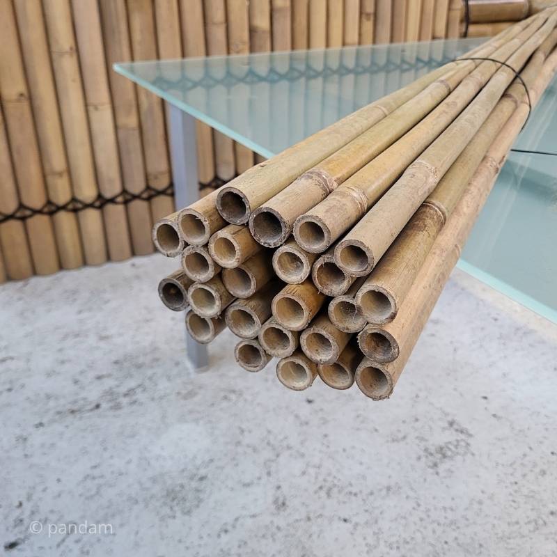 Tutores de bambú 2metros Lotes para jardineria y cultivo