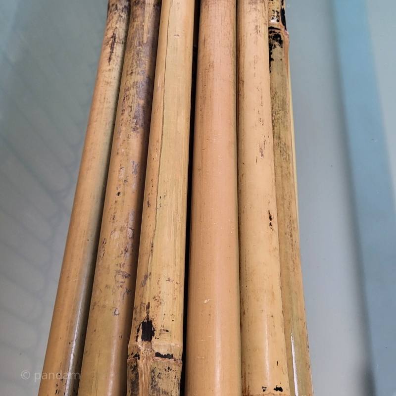 Tutores de bambú 3metros Lotes para jardinería y cultivo