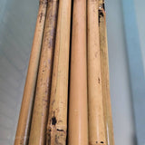 Tutores de bambú 3metros Lotes para jardinería y cultivo