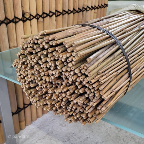 Tutores de bambú 90cm