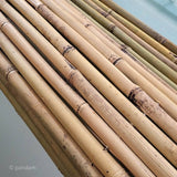 Valla exterior de bambú económico | Bambú Tonkin