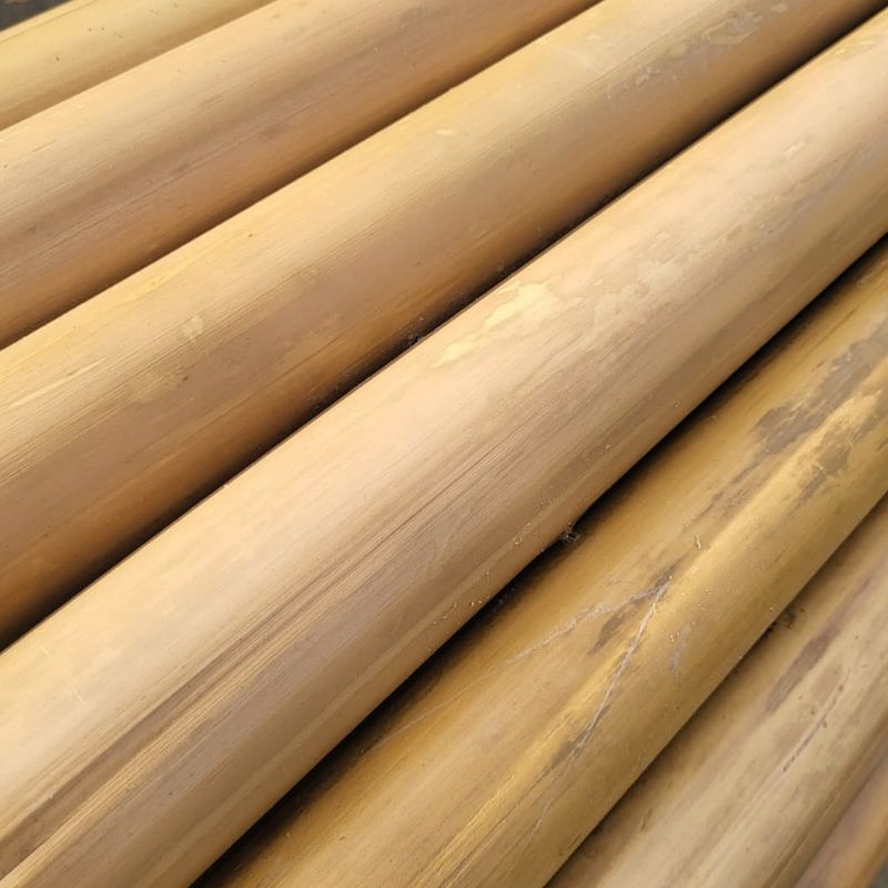 Valla de bambú de gran diámetro 6cm