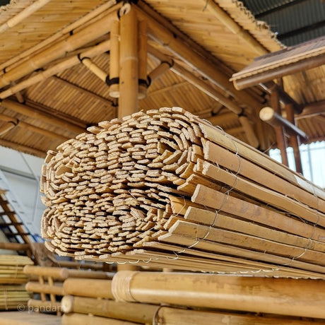 Valla de bambú partido