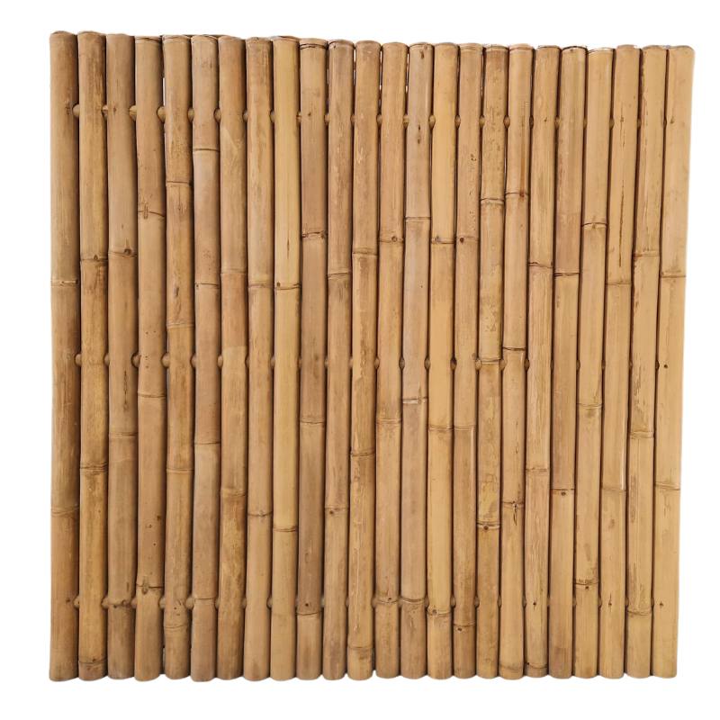 bambu_color_claro_gran_diametro