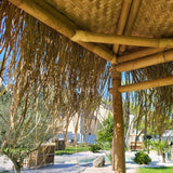 Tiki bar de bambú con palapa clara + 4 sillas – Ambiente tropical - Envío GRATIS