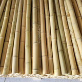 pequeños tallos de bambú