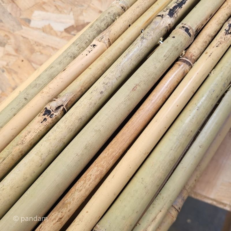 Cañizo de bambú
