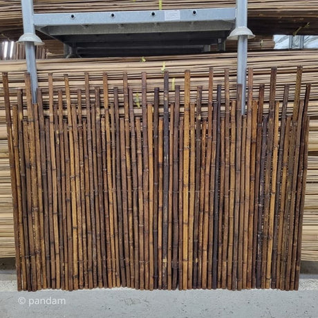 cercado de bambu irregular
