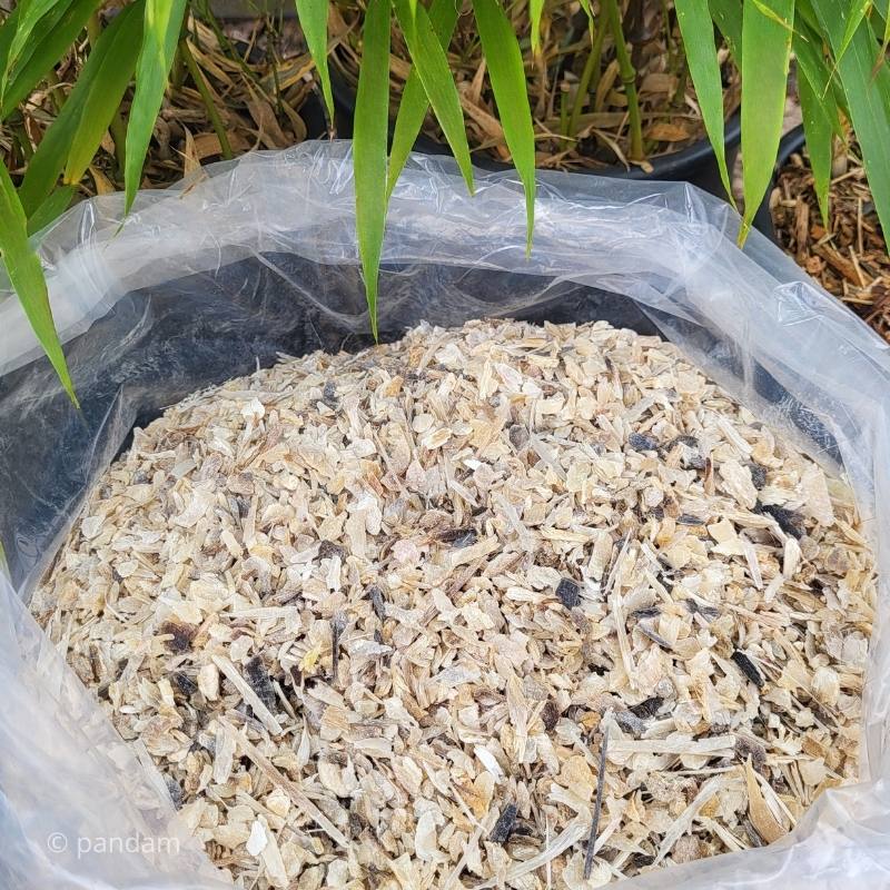 fertilizante nitrogenado para bambú