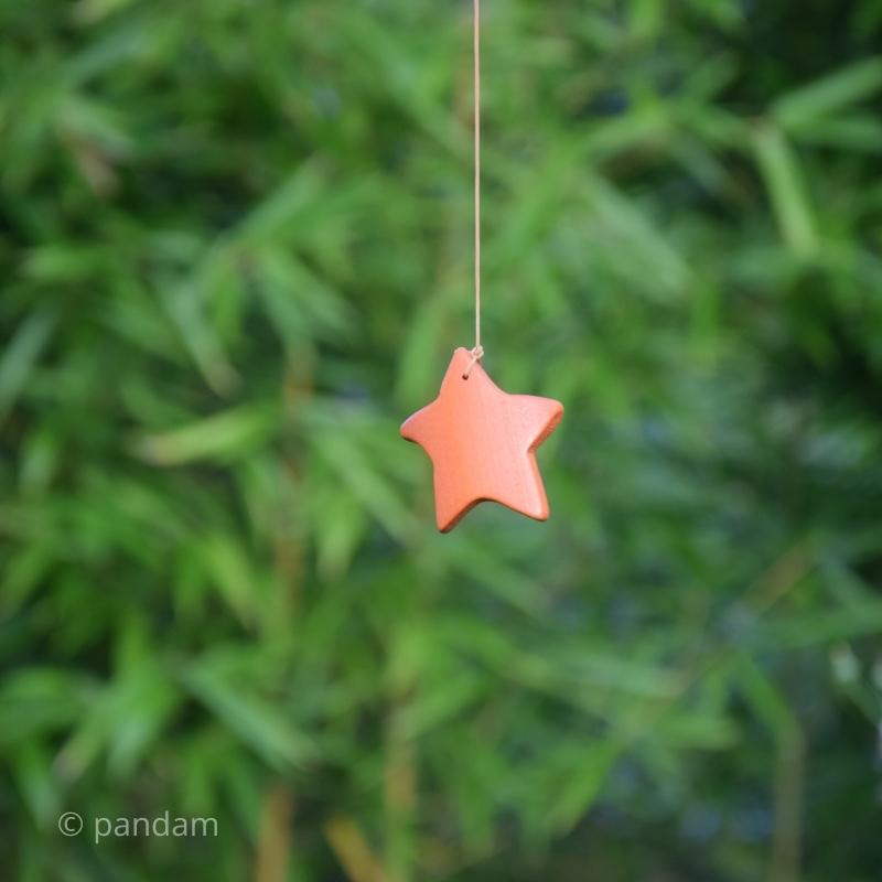 lengua en forma de estrella