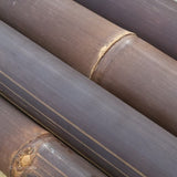 Caña de bambú negro - marrón oscuro