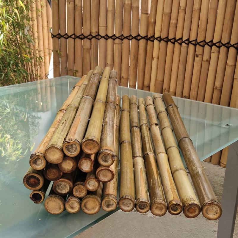 valla bambú jardín 1m