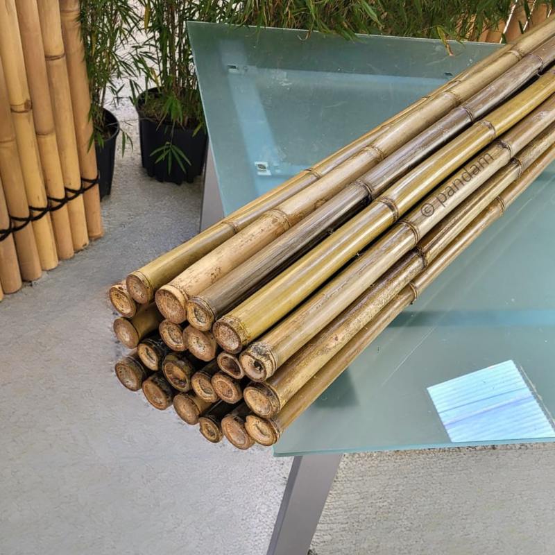 valla bambú jardín 2m