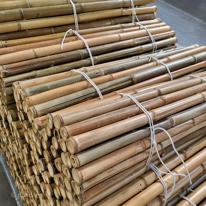 valla bambú jardín natural